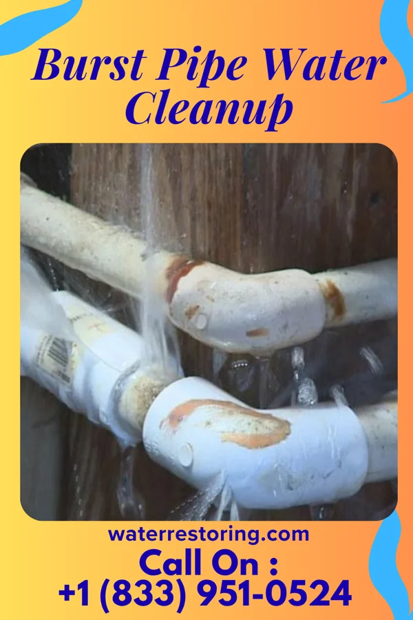 Burst Pipe Water Cleanup in Monterey, VA