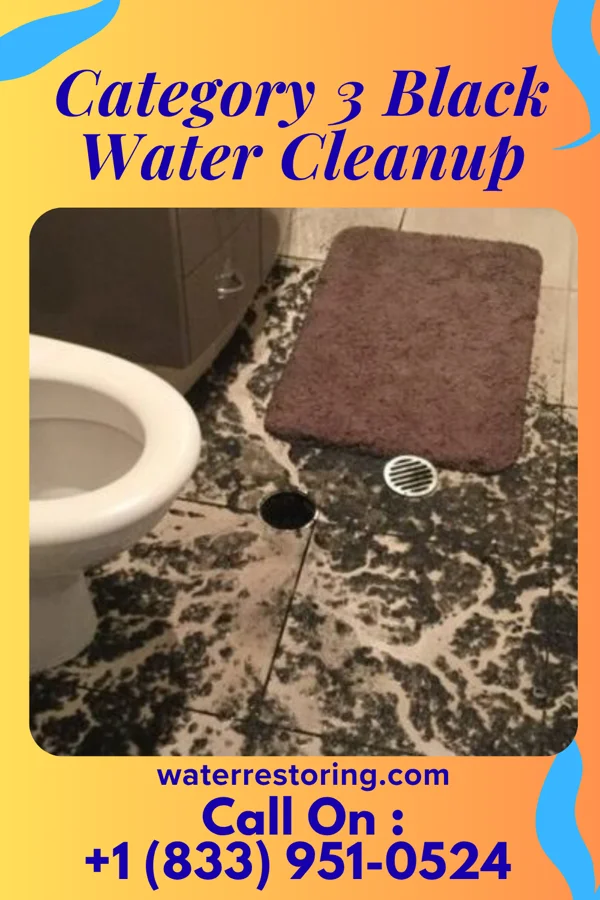 Category 3 Black Water Cleanup in Monterey, VA