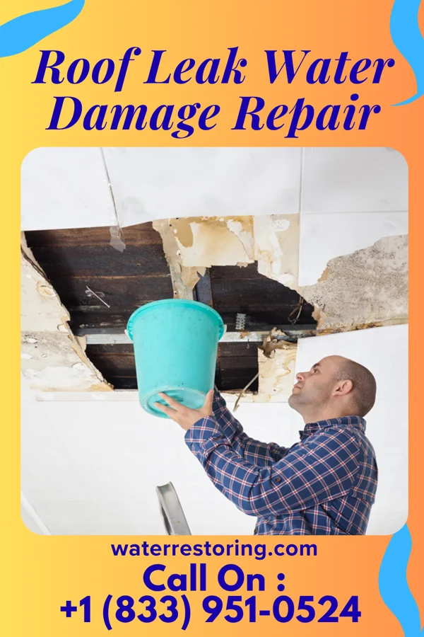 Roof Leak Water Damage Repair in Monterey, VA