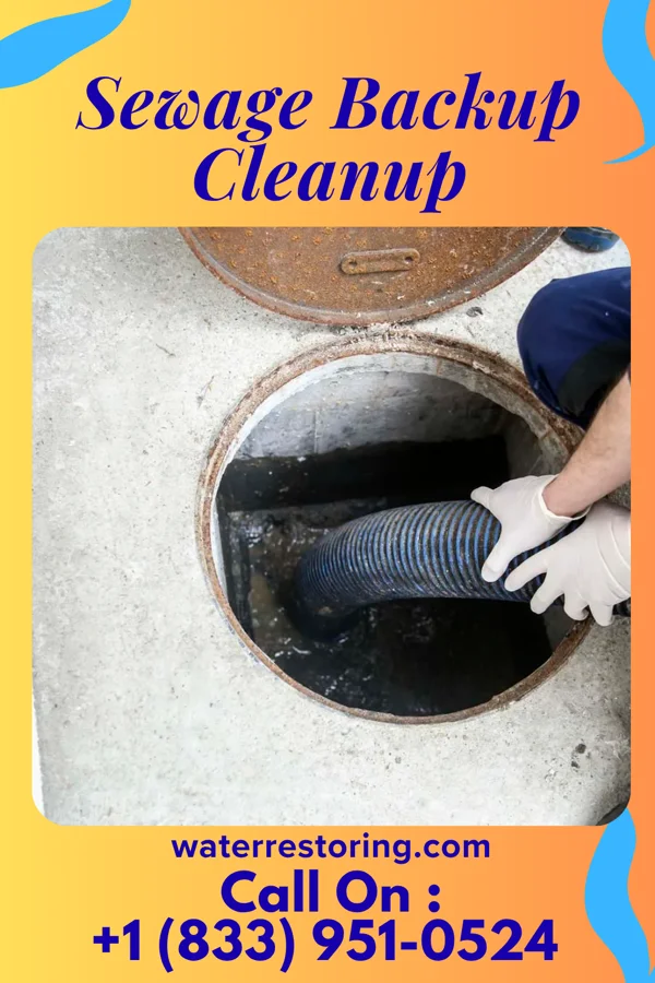 Sewage Backup Cleanup in Monterey, VA