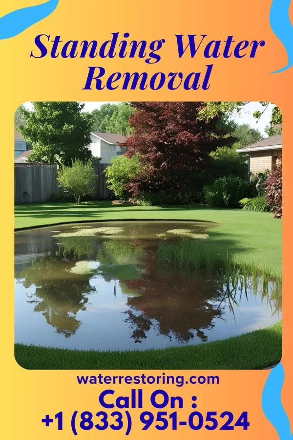Standing Water Removal in Monterey, VA